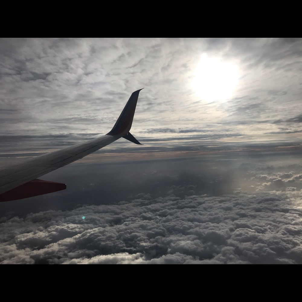 Meet your Posher, Michele